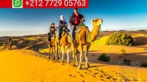 Merzouga Camel Ride & Overnight Desert Camps