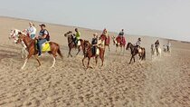 Desert Horse Riding Adventure 2 Hours with Transfer :Marsa Alam