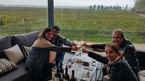 Private tour in the Luján de Cuyo Vineyards