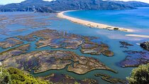 Dalyan Day Trip with Mud Bath and Turtle Beach From Fethiye