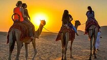 Exciting Camel Ride Adventure in Stunning Desert - Hurghada