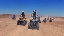Agafay Desert Adventure: Morning Quad Ride, Camel Trek & Lunch