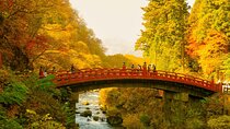 Nikko Tour by Private Car and English Speaking Driver