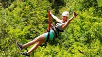 Zipline Adventure In The Rainforest