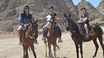 2 Hour Horseback Desert Ride with Transfers / Marsa Alam