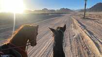 Horse Riding Desert & Beach : Sharm El-Sheikh