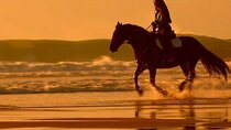 Horse Riding Desert & Beach : Sharm El-Sheikh