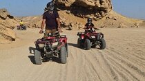 3 Pools National Park by Bus Camel & ATV Quad - Sharm El Sheikh
