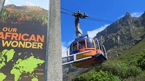 Full-Day Penguins & Cape Point with Table Mountain Cable Car