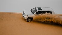 Private Doha Desert Safari and Inland Sea Tour, Best adventures