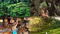 Ubud Half Day Private Tour 