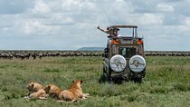 Private 6-Day Great Migration Ndutu Serengeti Safari Tour