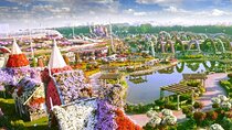 Miracle Garden and Butterfly Garden Dubai Combo Tour