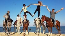 Enjoy a Desert Horse Riding Adventure & Transfer -Sharm El Sheikh