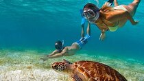 Adventurous-Snorkeling With Sightseeing of Montego Bay