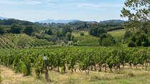Private Visit to Two Wineries and Montecarlo Village in Lucca
