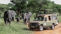 5-Day Highlights mid-Range Crater, Serengeti, Tarangire