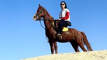2-Hour Horse Ride, Bedouin Dinner & Egyptian Show - Sharm Sheikh