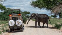 Private 6-Day Tarangire Manyara Crater and Serengeti with Mid-Range Lodges