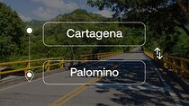 Cartagena to or from Palomino Private Transfer