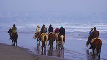 Sunset Horseback Ride on Ritoque Dunes & Beach +BBQ All-Inclusive