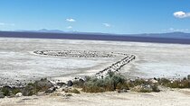 Private Tour in Spiral Jetty and Pink Lake