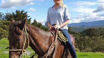 Horseback Riding in Medellin mountains