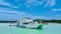 Private Catamaran Cruise with Slide & unlimited drinks