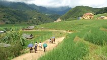 Sapa Trekking and Homestay Overnight 2 Days 1 Night