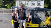 Reykjavík Shared Tuk Tuk Tour