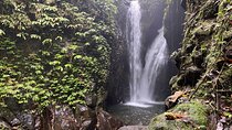 Twin Waterfalls Private Tour in Bali