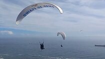 Private Paragliding Adventure and Constantia Wine Tasting Tour