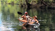 Private 2Hour Clear Kayak/ROC Paddle Board Rental on Silver River