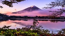 From Tokyo: Private Day Trip to Mount Fuji & Fuji Five lakes