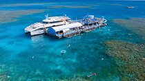 Full Day Tour to Sunlover Cruises Moore Reef and Fitzroy Island