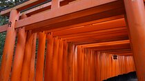 Kyoto Walking Tour at Fushimi Inari Shrine and Tofukuji Temple