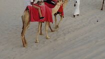 Private Doha Quad Bike, Horse Ride, Camel Ride All Inclusive Tour