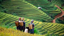 Full-Day Guided Tour of Mai Chau from Hanoi