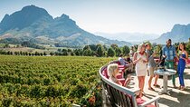  Stellenbosch & Franschhoek Wine Tasting Private Tour incl. Lunch