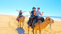 Los Cabos 3 in 1 Adventure: Camel Ride, Lunch and Arch Boat Tour