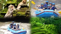 Full day Ubud Trip Rafting and Rice Terrace with Monkey Forest