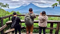 Day Tour to Pacaya Volcano from Antigua Guatemala on Private Vehicle