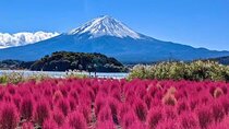 Mount Fuji Private Day Tour by certified Guide & Licensed vehicle