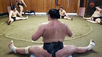 Sumo Practice Viewing Guided Tour and Photo with Sumo Wrestlers