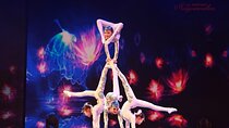 Red Theater Acrobatic Show Ticket Booking