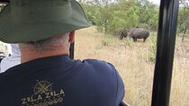 4 Day Private Tour in Zula Joburg to Kruger Panorama