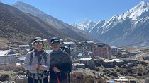 Explore The Beauty Of Langtang Valley In 8-Days Trek
