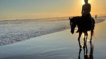 Bali Horse Riding seminyak beach Sunset Ride