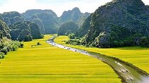 Full Day Guided Tour in Hoa Lu, Tam Coc, Mua Cave from Hanoi