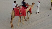 Private-Doha Half Day Safari/ Quad Bike and Camel Ride included